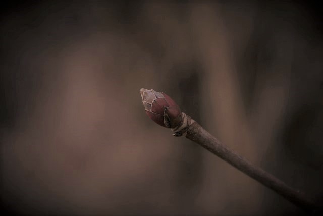 Unfurl